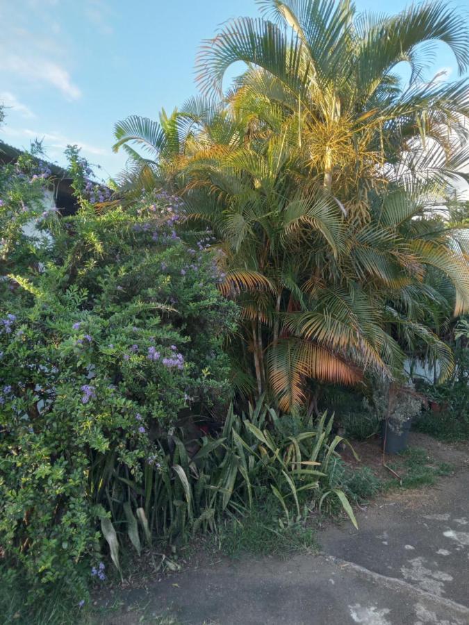 Villa Le Jardin à Saint-Leu Extérieur photo
