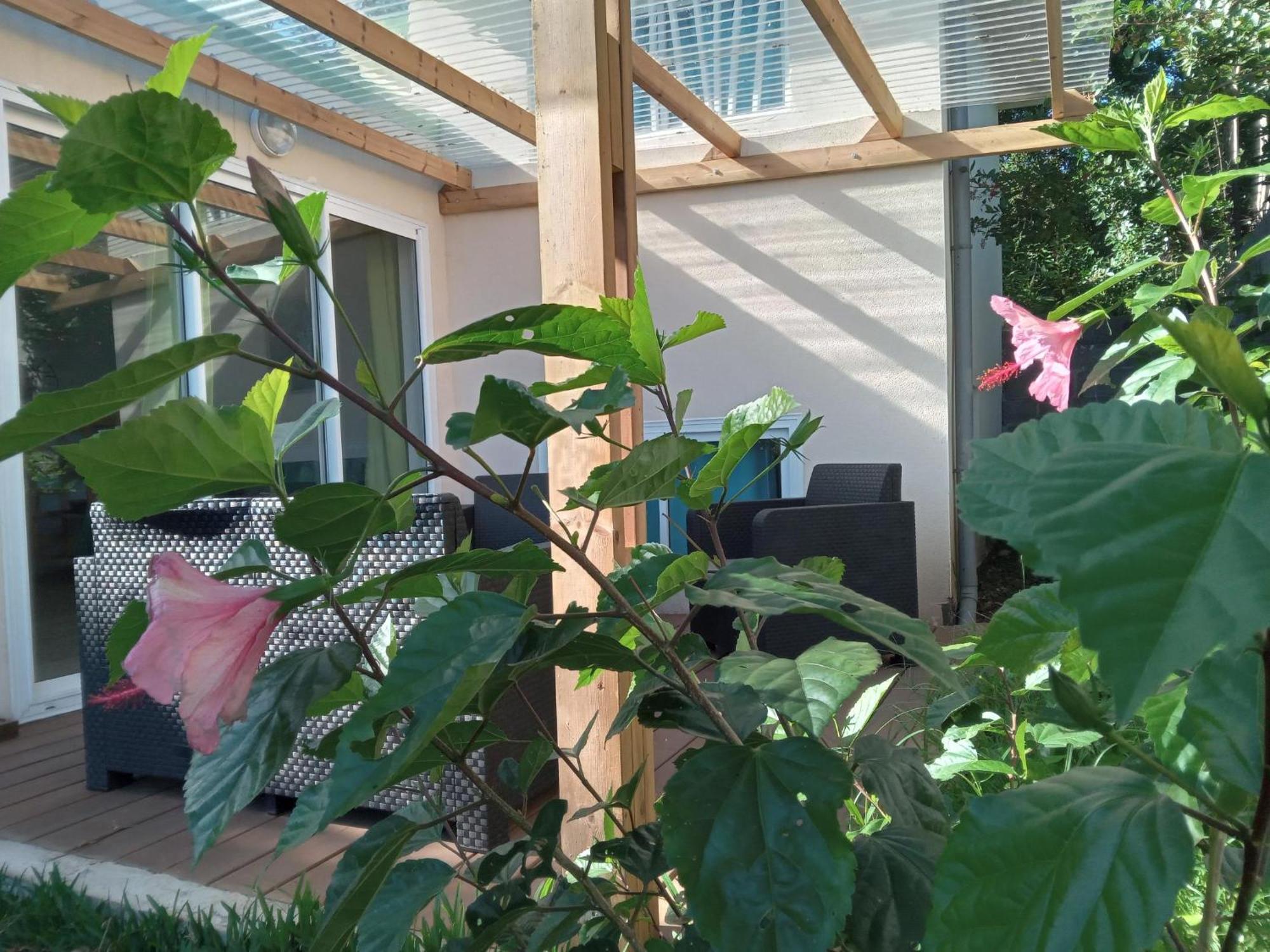 Villa Le Jardin à Saint-Leu Extérieur photo